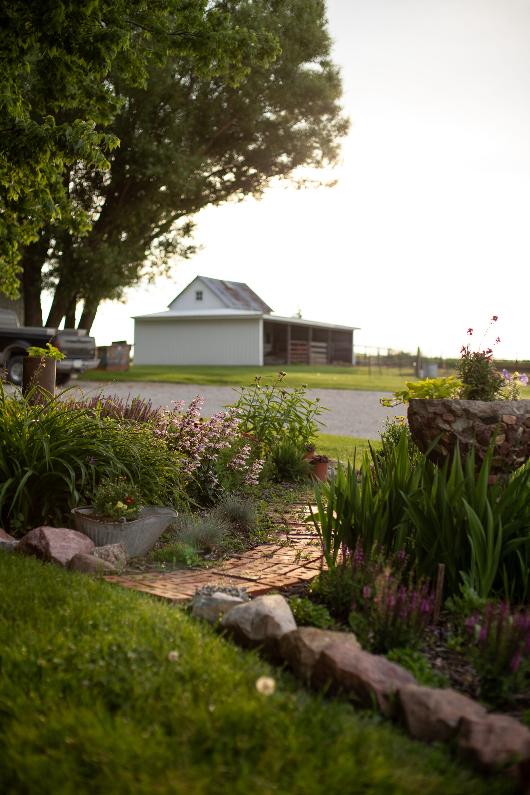 view of barn from garden path