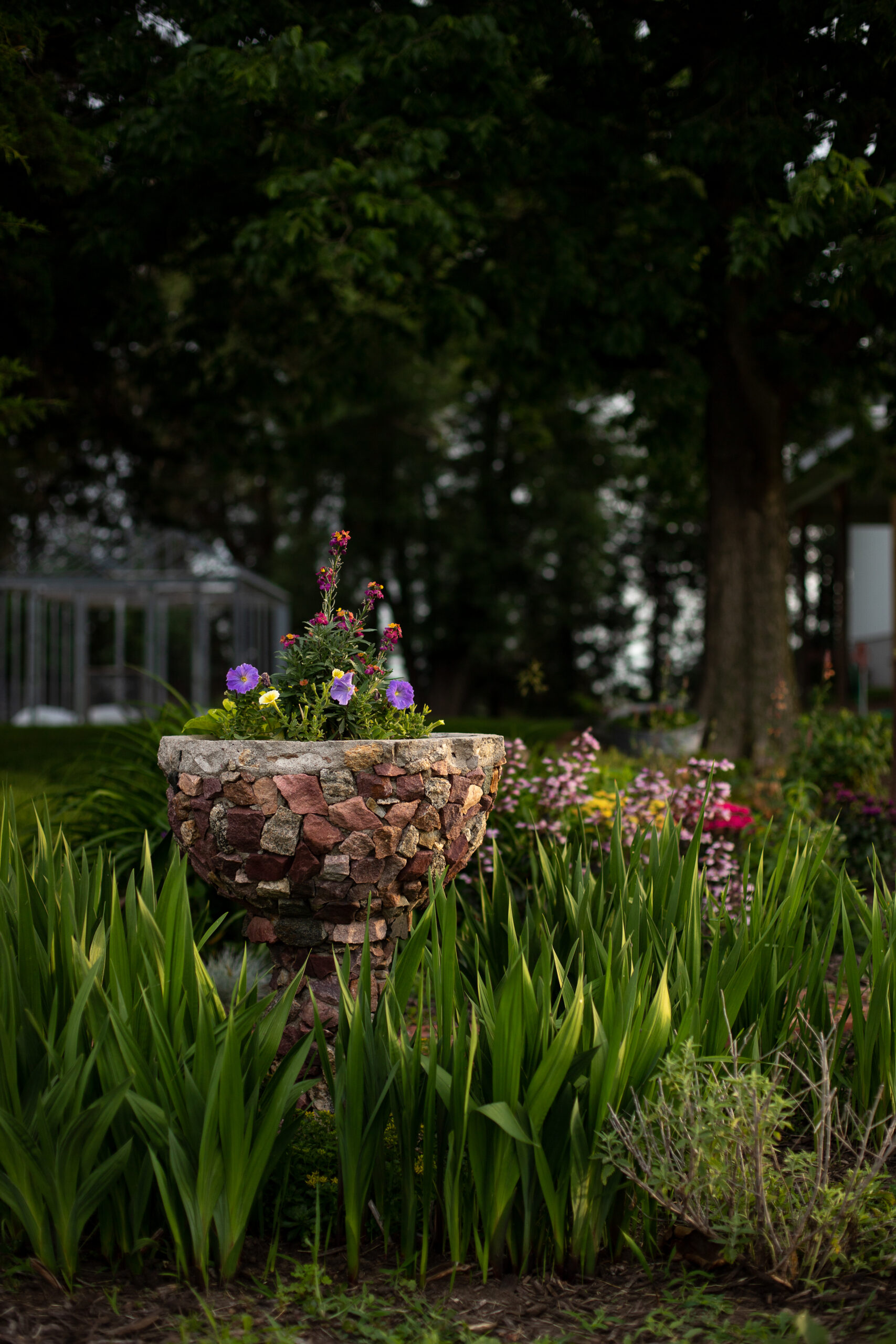 scene of garden planter full of flowers