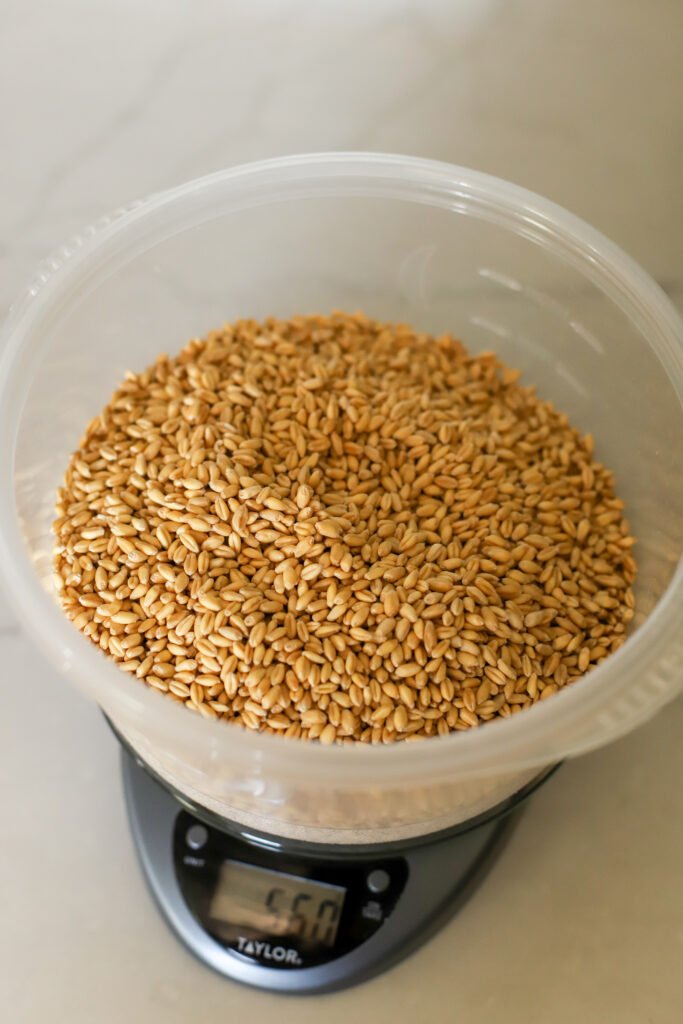 up close shot of soft white wheat berries