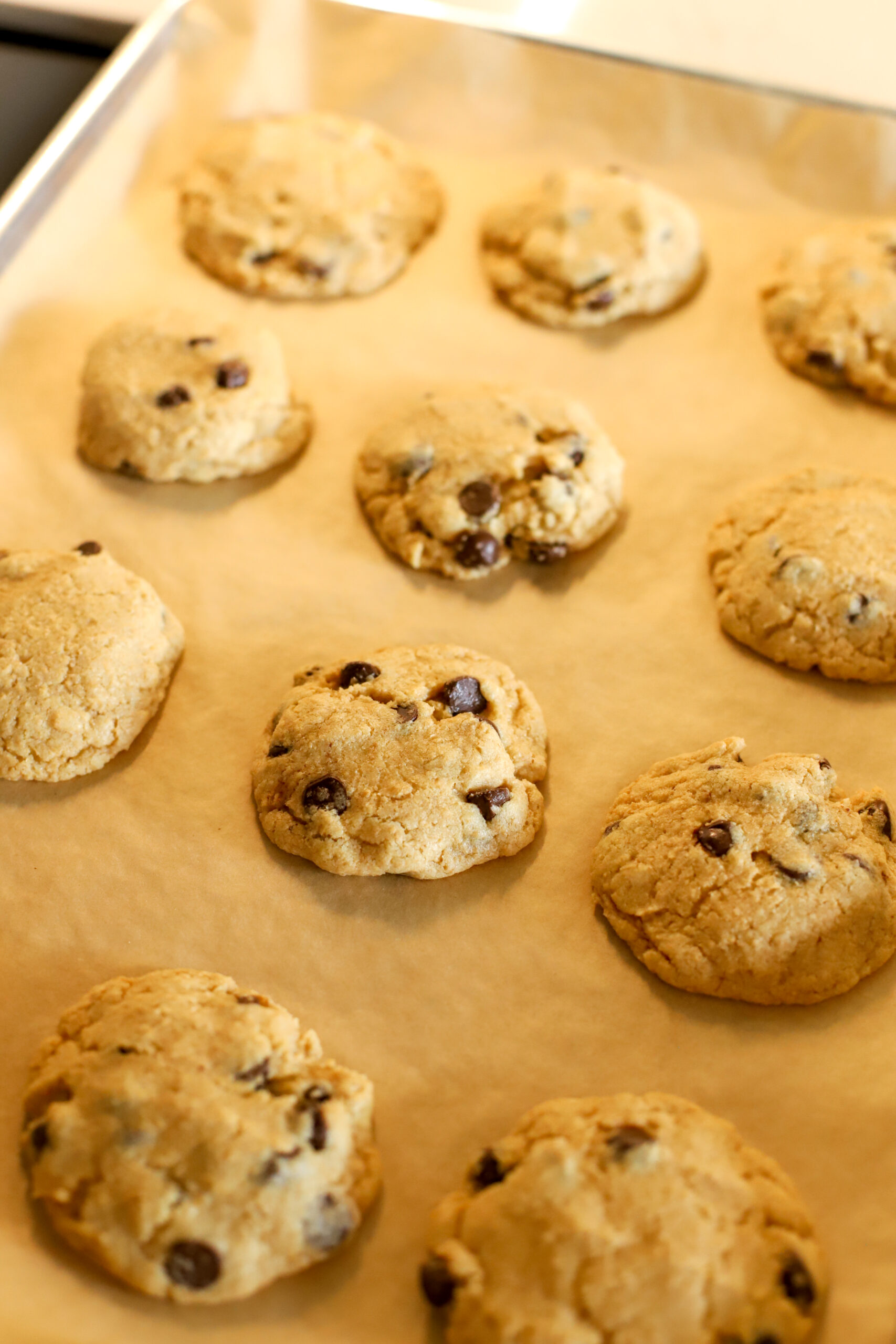 chocolate chip cookies fresh out of the oven