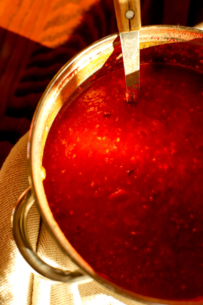 up close shot of pureed and reduced tomato sauce