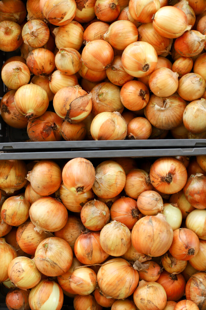 up close shot of two crates of onions ready to store