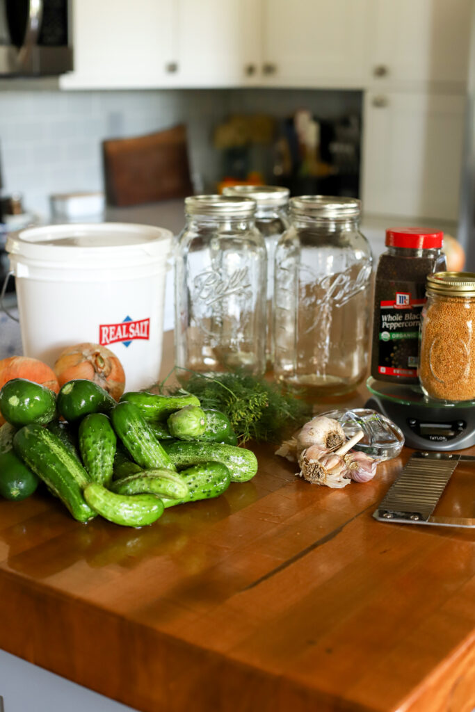 ingredient lineup for fermented dill pickles