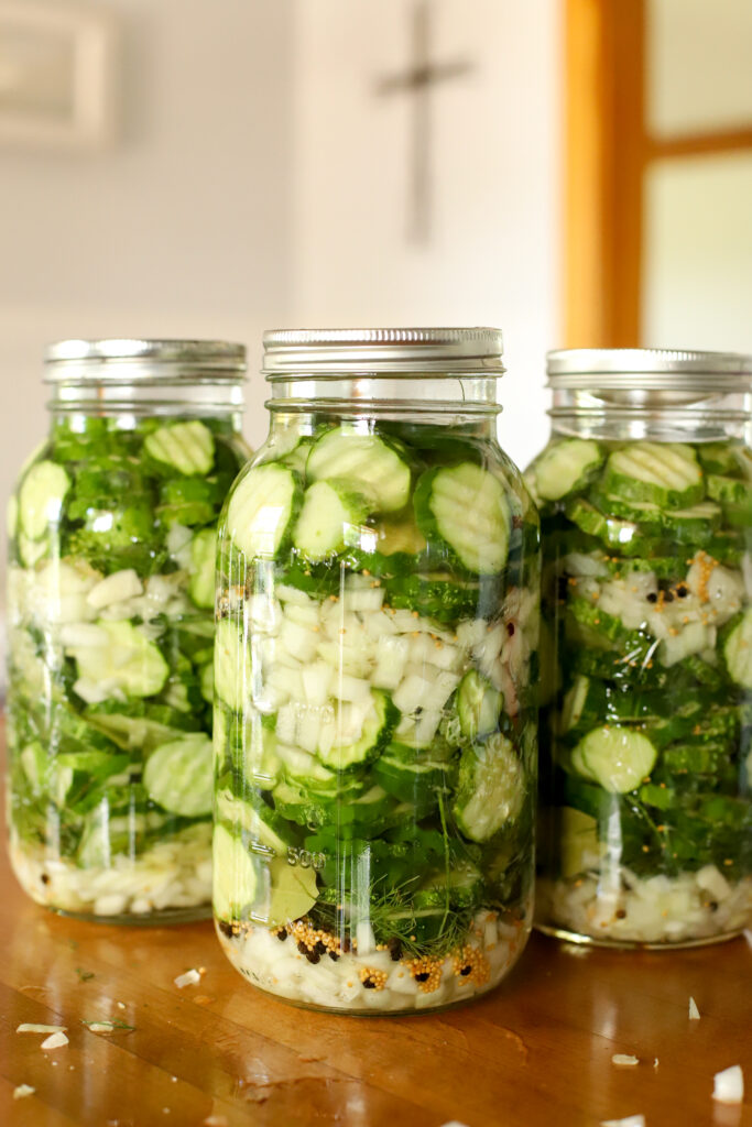 three half gallon jars filled with crisp fermented cucumber dill pickles ready to ferment