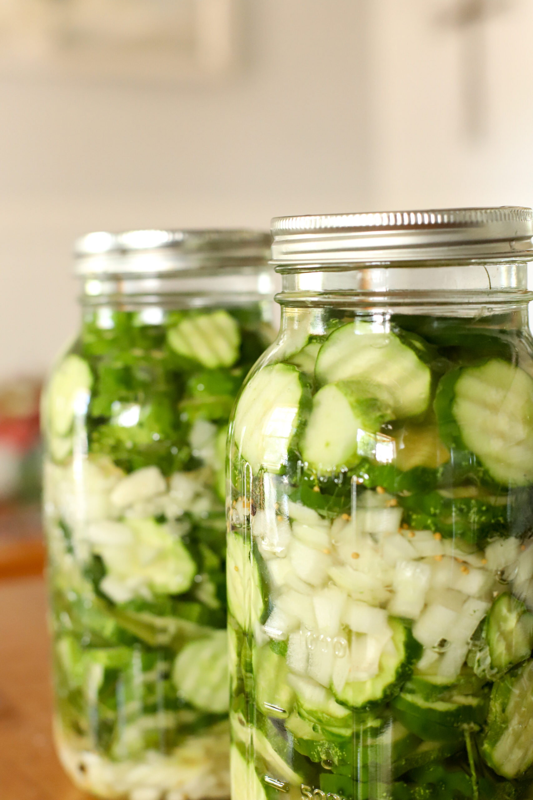 a full jar of crisp fermented cucumber dill pickles