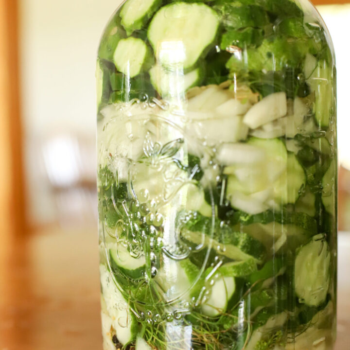 ready to ferment cucumber pickles