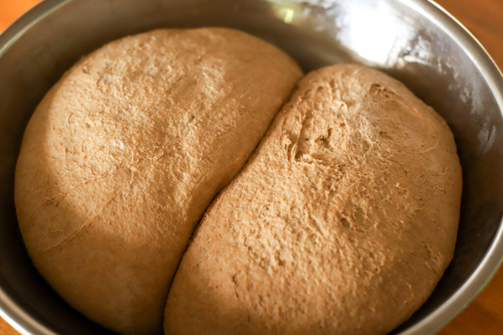 risen sourdough sandwich bread dough