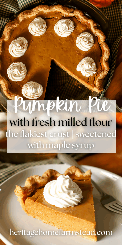 Pinterest pin for Pumpkin Pie With Fresh Milled Pie Crust
