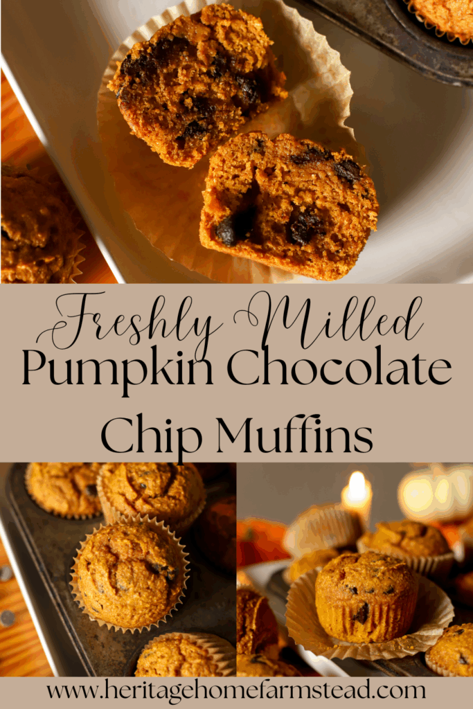pinnable image of freshly milled pumpkin chocolate chip muffins