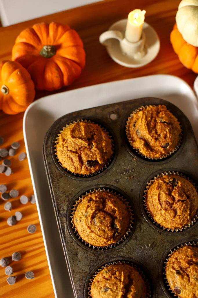 up close shot of muffin tray with pumpkin chocolate chip muffins