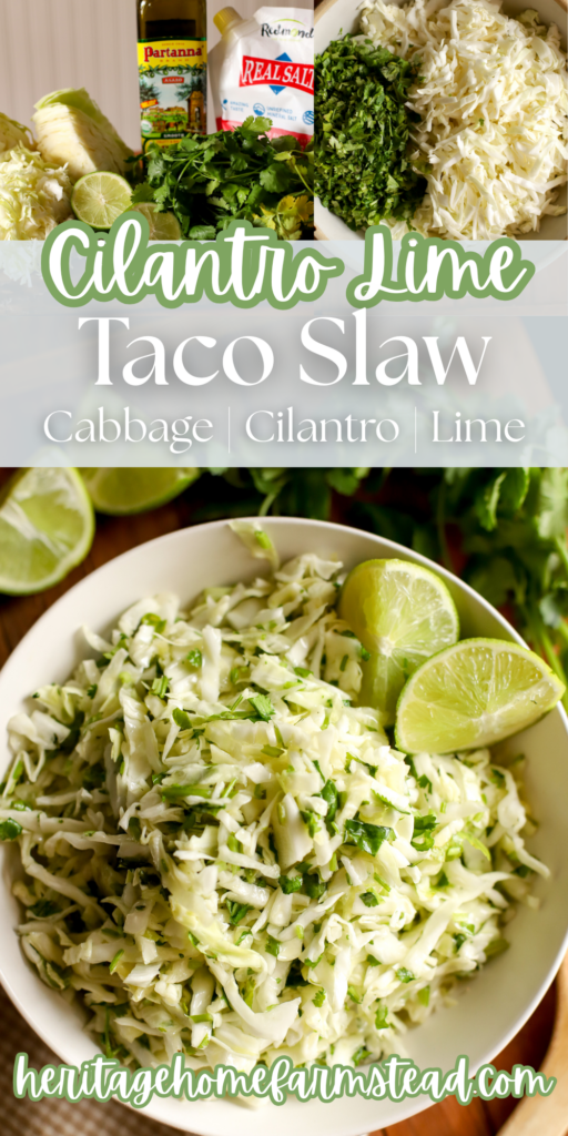 pinterest pin for cilantro lime cabbage slaw