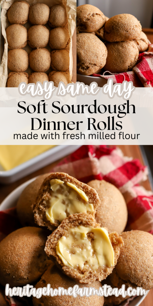 pinterest pin for soft sourdough fresh milled dinner rolls