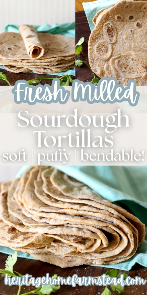 Pinterest pin for Fresh Milled Sourdough Tortillas