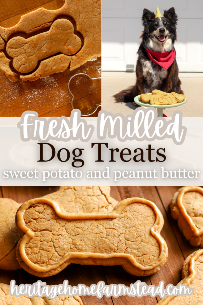 Pinterest Pin For Homemade Dog Treats With Fresh Milled Flour