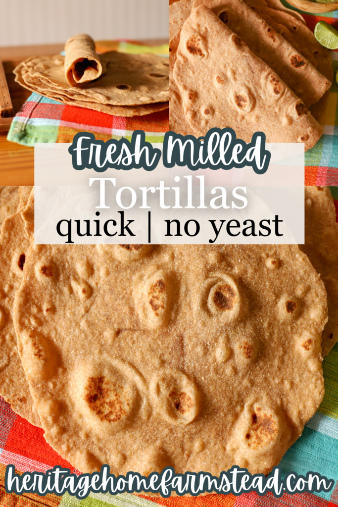 Pinterest Pin for Quick No Yeast Fresh Milled Tortillas