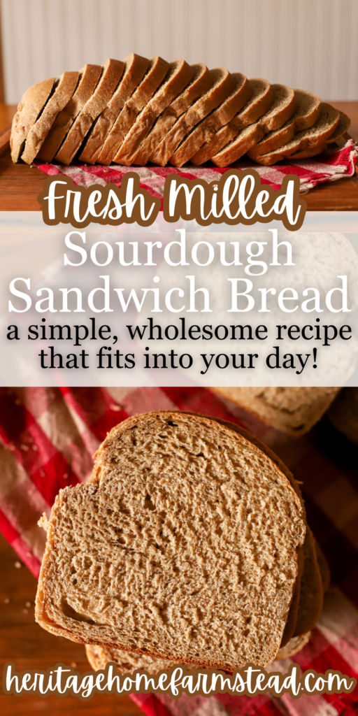 Pinterest Pin for Simple & Soft Fresh Milled Sourdough Sandwich Bread