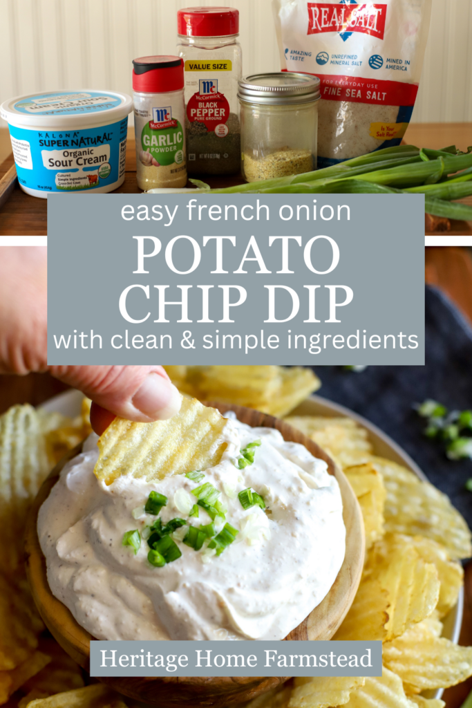 Pinterest pin for Simple French Onion Chip Dip Recipe