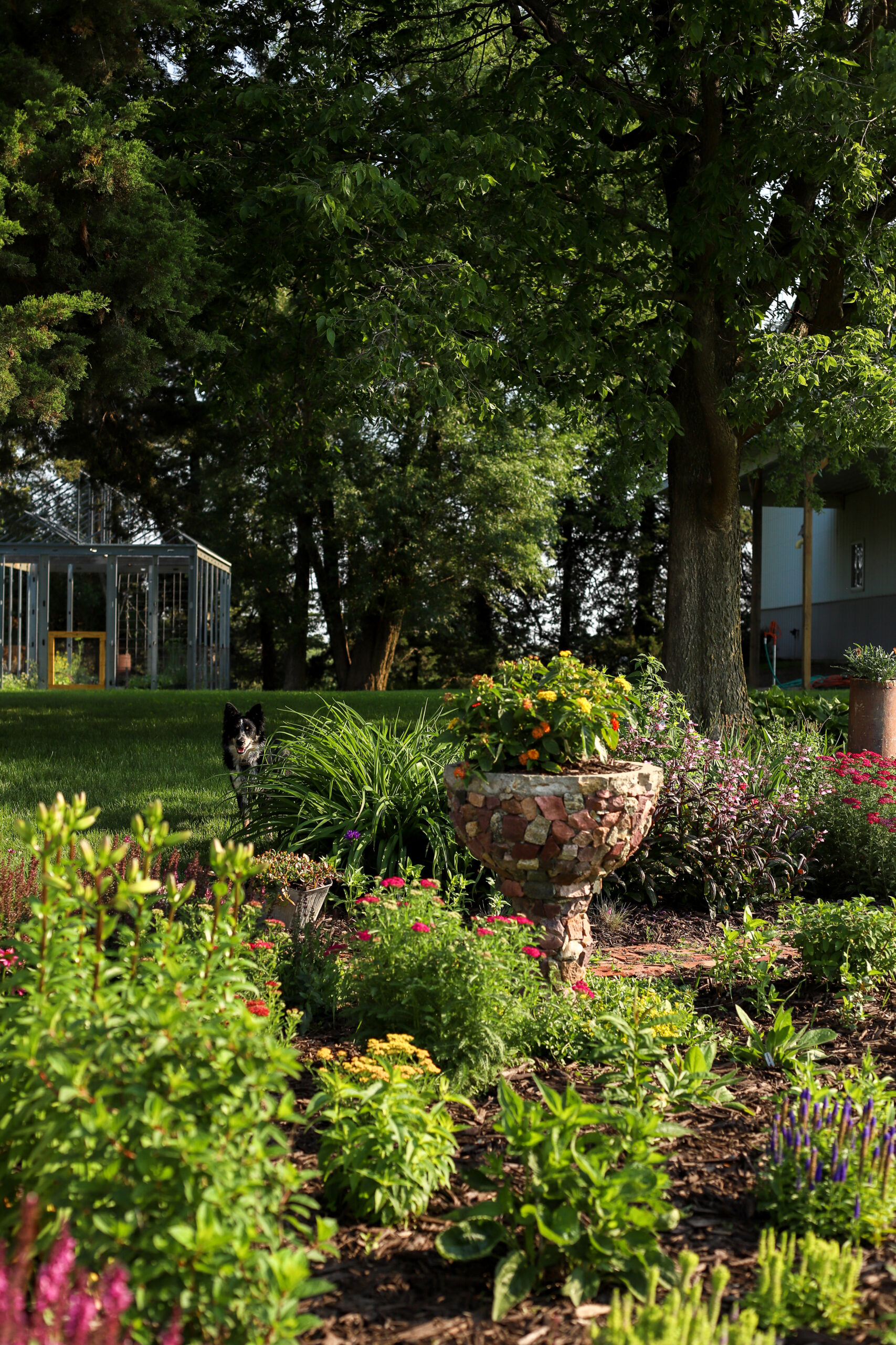flower bed in bloom with lots of varieties of plants
