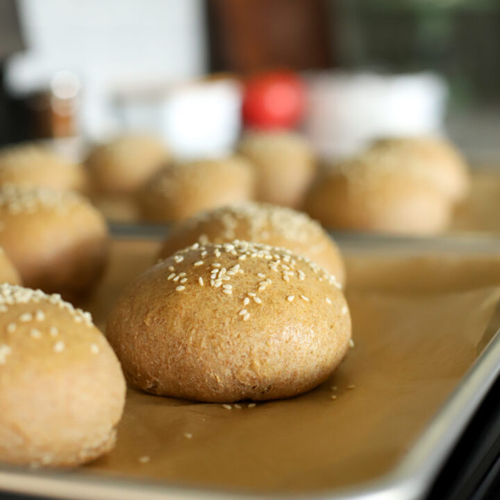 up close shot of fresh milled sourdough burger buns on a baking sheet lined with parchment paper