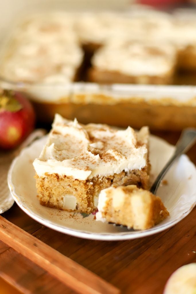 an up close shot of a slice of fresh milled apple cake on a plate